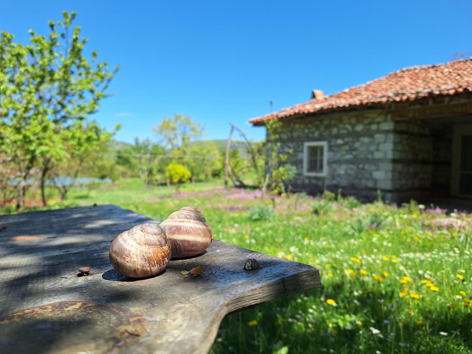 Revita Stone House Hostel Elbasan